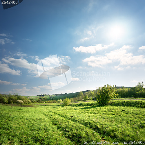 Image of Country road in a meadow