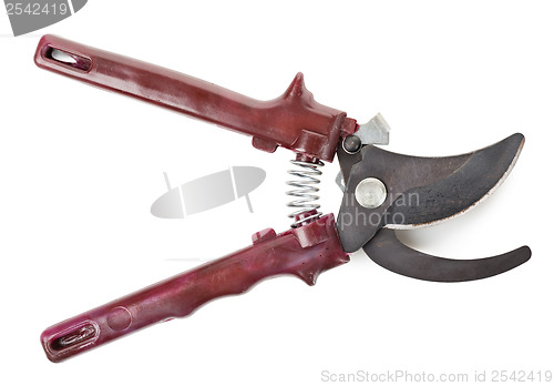 Image of Shears for garden