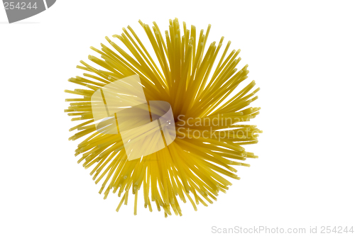 Image of Spaghetti flower

