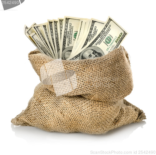 Image of Money in the bag isolated