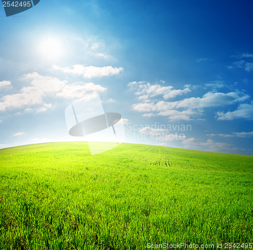 Image of Green field