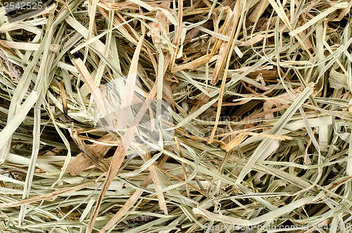 Image of Background of  meadow hay