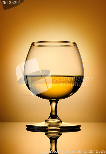 Image of Brandy on a gold background