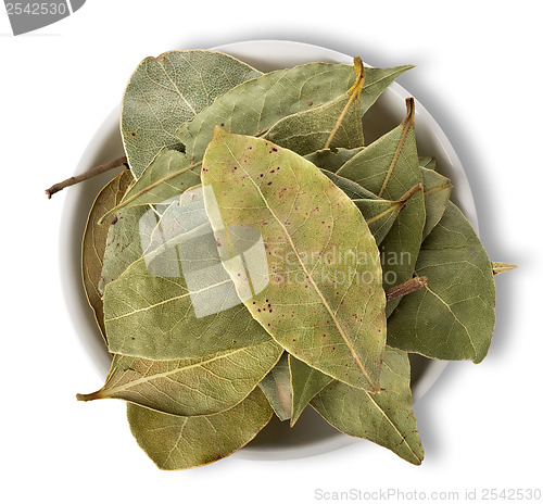 Image of Bay leaves in plate isolated
