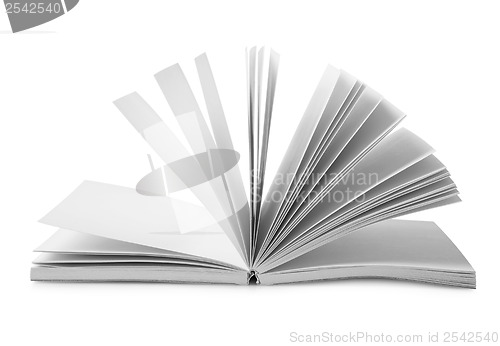 Image of Book with fanned pages isolated
