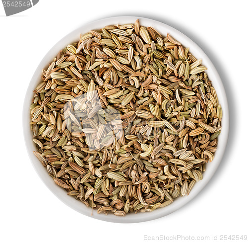 Image of Fennel  in plate isolated