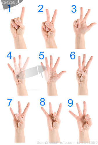 Image of Collage hand showing number