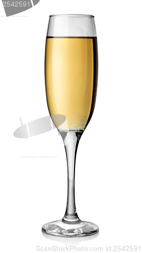 Image of White wine in tall glass