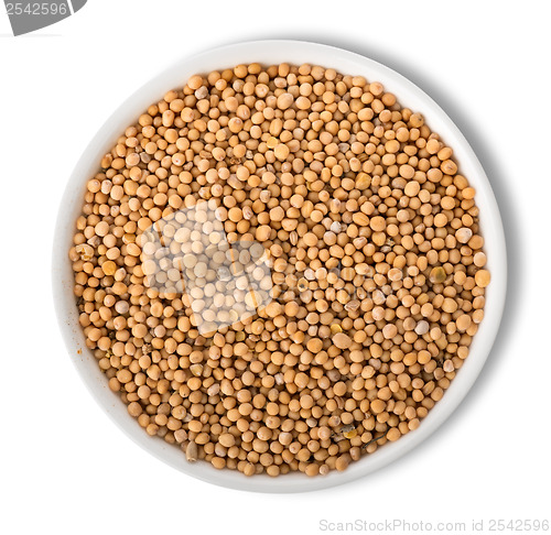 Image of Mustard seeds in plate isolated