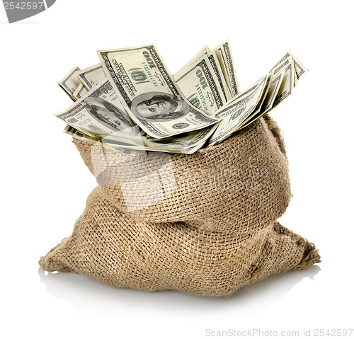 Image of Dollar in the bag