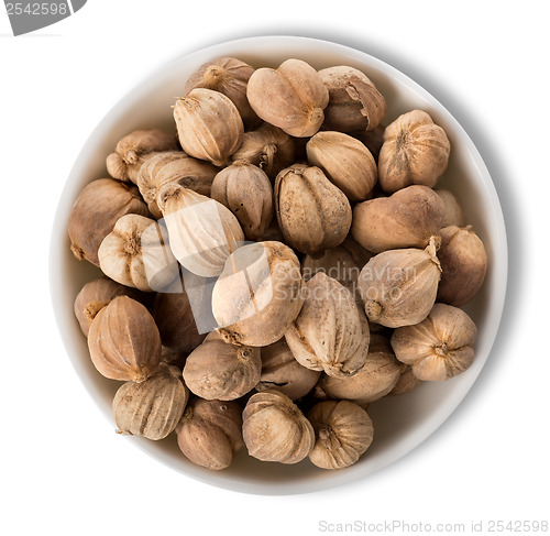 Image of Black cardamom in plate isolated