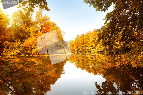Image of Autumn forest by the river