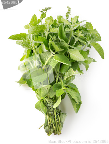 Image of Bunch of mint