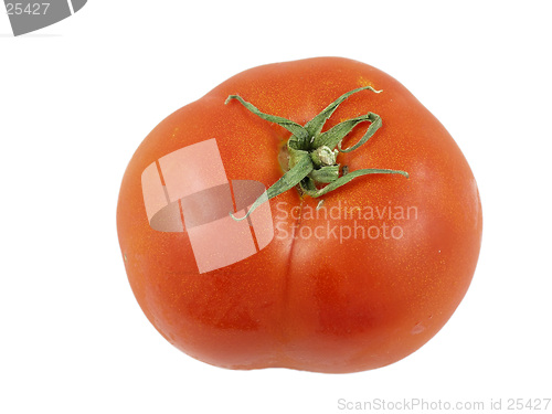 Image of Tomato