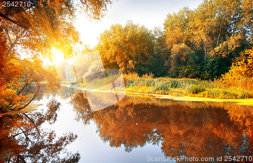 Image of River in a delightful autumn forest