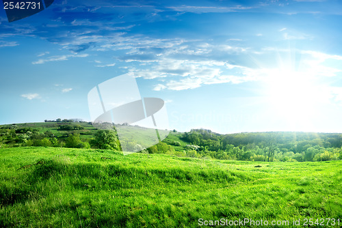 Image of Spring Ukraine