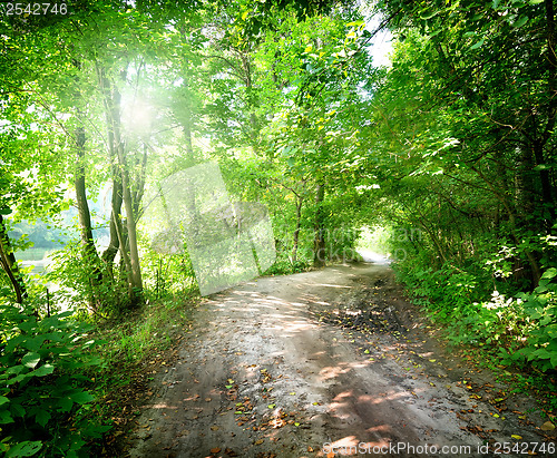 Image of Dawn on the road in the forest