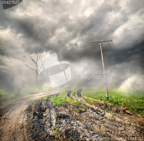 Image of Country road in the fog