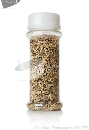 Image of Fennel in a glass jar