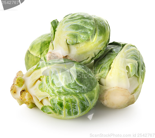 Image of Brussel sprouts