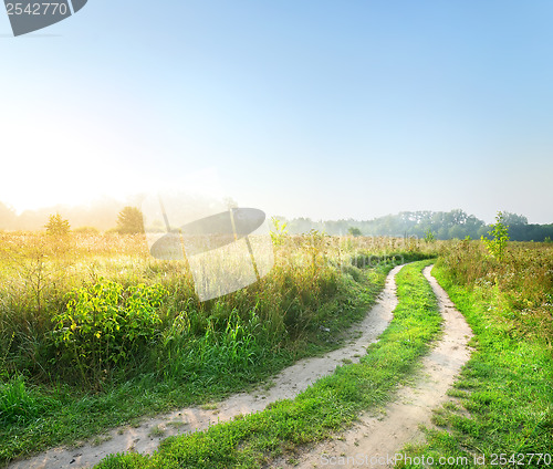 Image of Road in the field