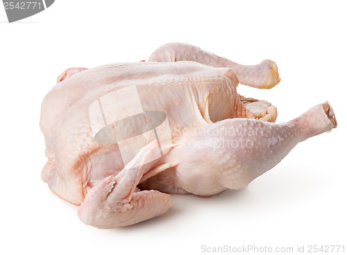 Image of Raw chicken