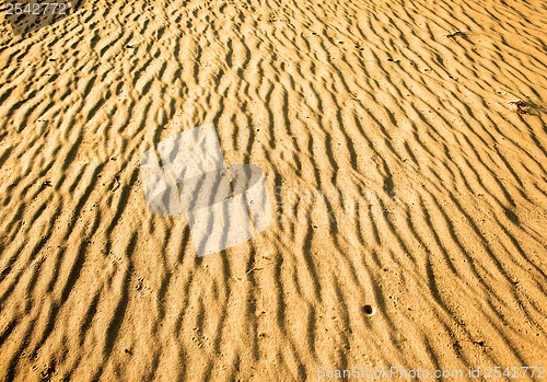 Image of Texture of desert