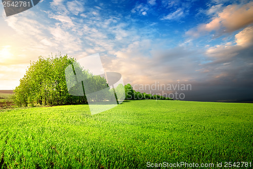 Image of Cloudy sky in grassland