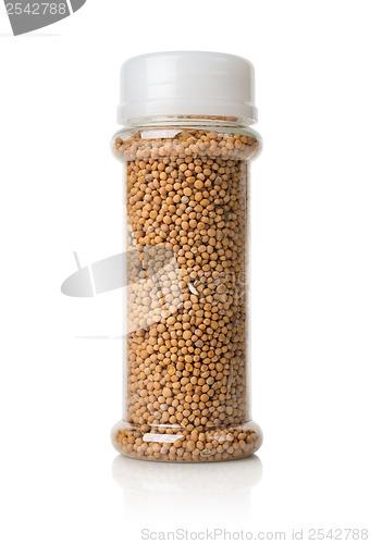 Image of Mustard seeds in a glass jar
