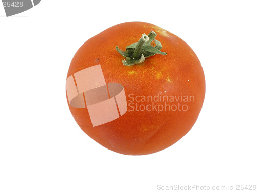 Image of Tomato