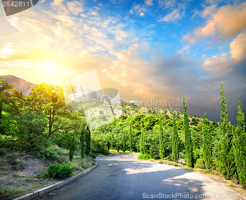 Image of Cypress park in mountains