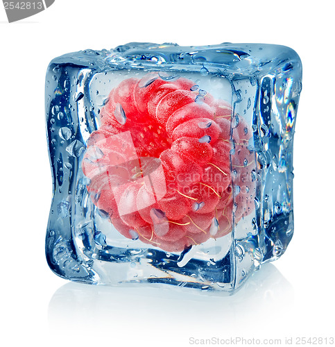 Image of Berry raspberry in ice cube