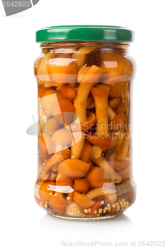 Image of Honey agarics in a glass jar