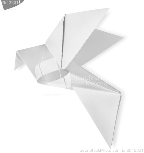Image of Bird paper isolated