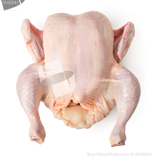 Image of Raw chicken isolated