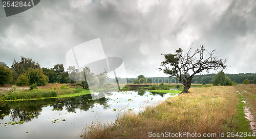 Image of Cloudy sky over the river