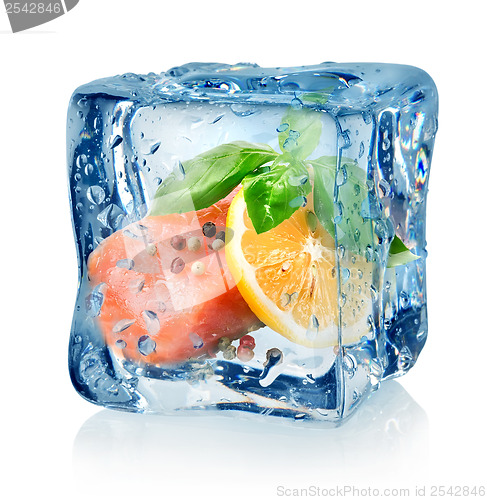 Image of Fillet of salmon in ice cube