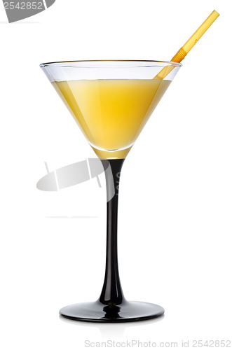 Image of Orange cocktail in a high glass