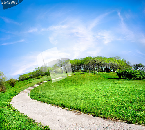 Image of Road on a green hill