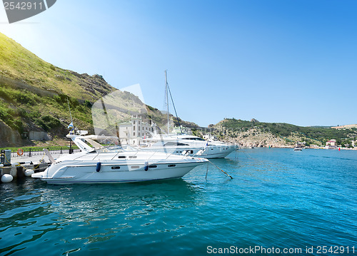 Image of Yachts in the bay