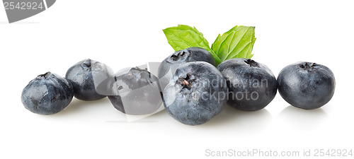 Image of Blueberry with green leaves