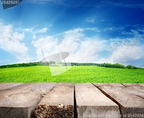 Image of Meadow and wooden floor