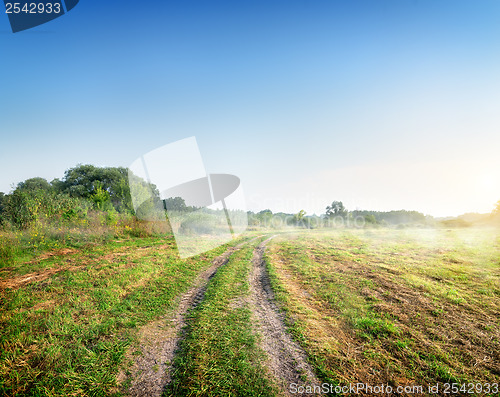 Image of Fog over the road