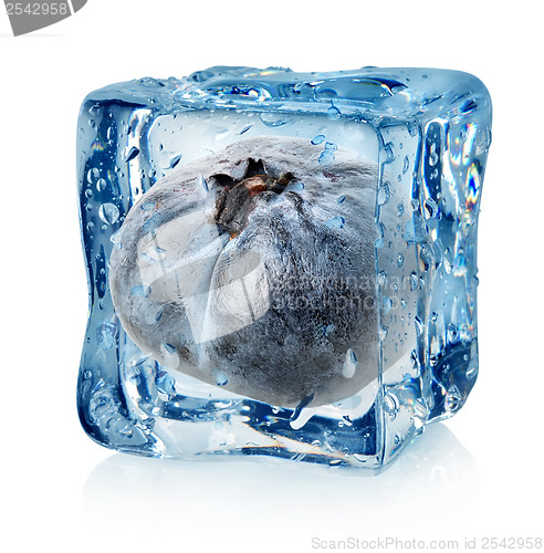 Image of Blueberry in ice cube