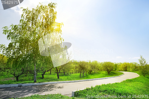 Image of Asphalt road in the park