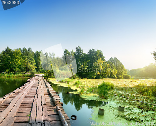 Image of Bridge over a swampy river