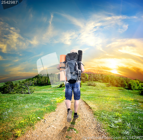 Image of Tourist on the road