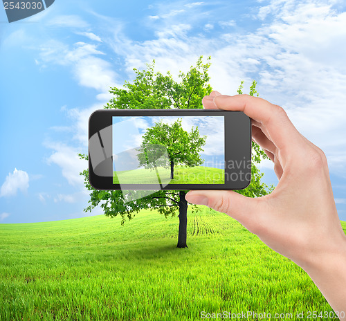 Image of Phone and tree 