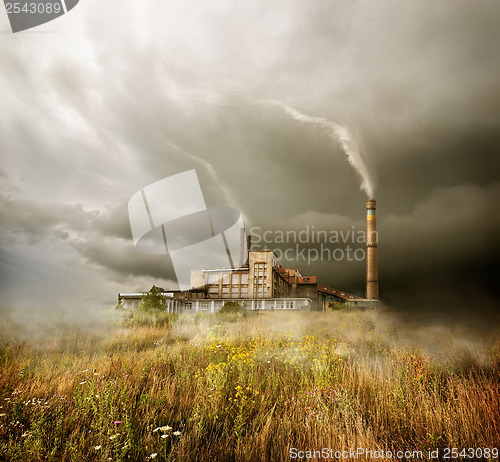 Image of Plant and cloudy sky