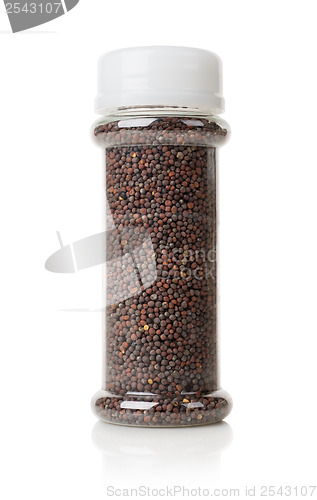 Image of Black mustard in a jar